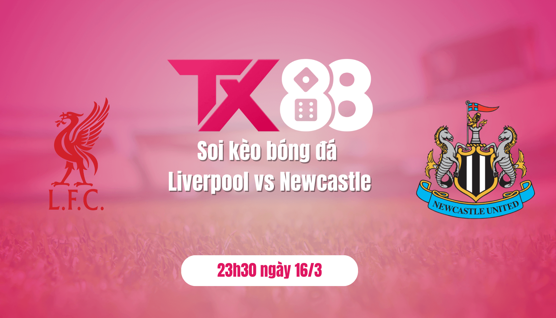 TX88 Soi kèo bóng đá Liverpool vs Newcastle, 23h30 ngày 16/3: Chớ coi thường Chích chòe!